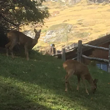 Balma 3 Near Gondelbahn 아파트 *