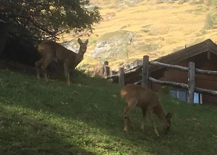 Balma 3 Near Gondelbahn Апартаменти *