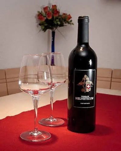 Balma 3 Near Gondelbahn Apartment Zermatt