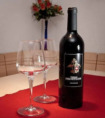 Balma 3 Appartement Zermatt