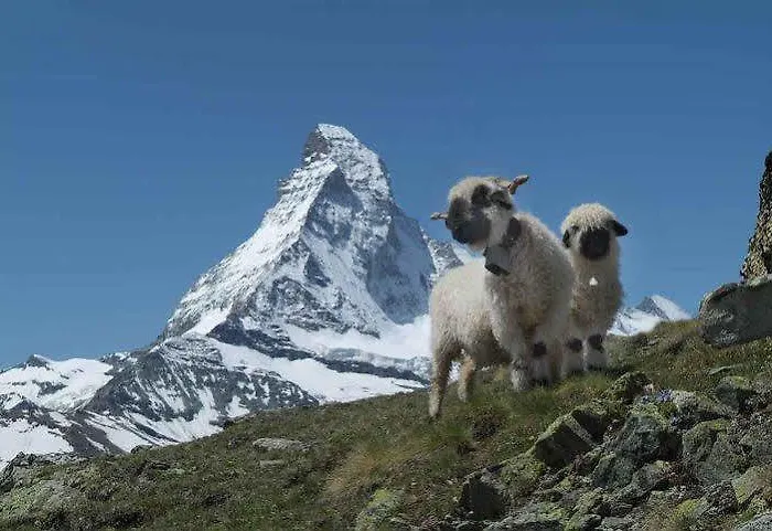 Апартаменты Apartment Balma 3 Rooms Near Gondelbahn